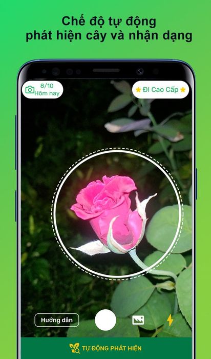 Dự án AI Phân loại các loài hoa